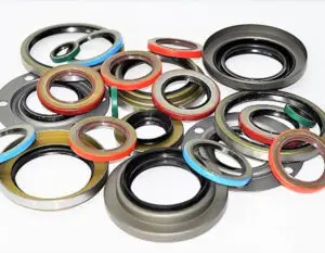 oil seal