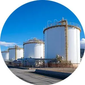 Oil and gas seals