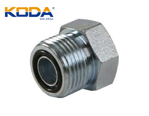 KODA-o-rings-image-300x233