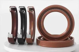 oil seals