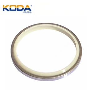 DKBI oil seal