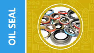 Oil Seal Function Analysis and Maintenance Guide