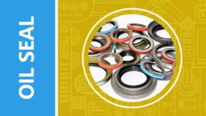 Oil Seal Function Analysis and Maintenance Guide