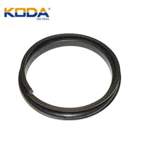 TP oil seal