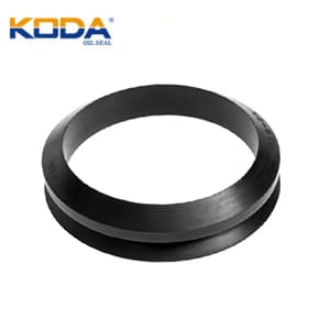 VS oil seal