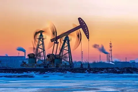 O-rings and seals for the oil and gas industry​