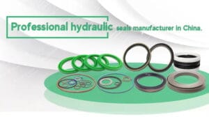 Let me show you what a COMBI oil seal is？