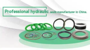 Let me show you what a COMBI oil seal is？