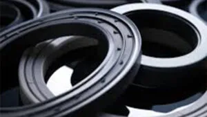 What are the differences between TGY oil seals and TGR oil seals