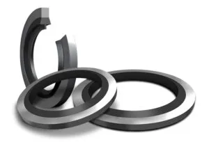 Bonded Seals