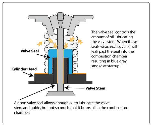 How Valve Stem Seals Work