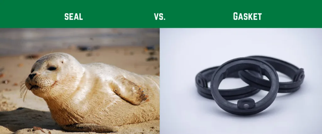 Gaskets Vs Seals What's The Difference Between Them