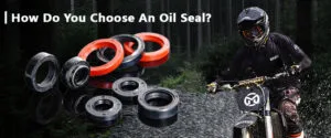 How Do You Choose An Oil Seal