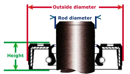 Understanding the Structure of a TCN Oil Seal