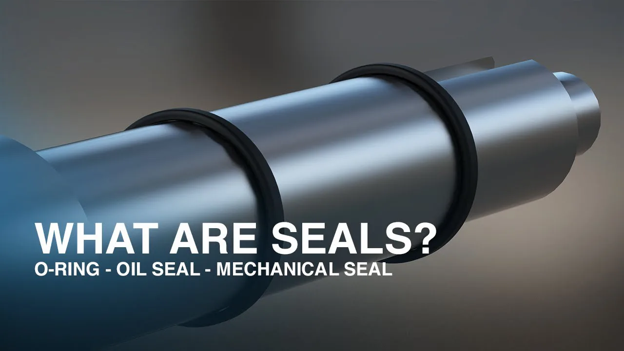 What Is a Seal