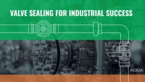 Valve Sealing for Industrial Success