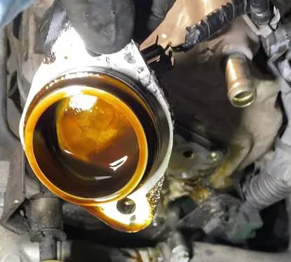 How to Diagnose an Oil Seal Leak