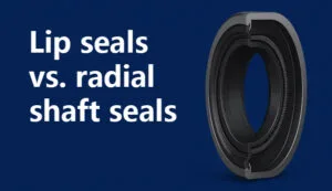 Lip seals vs. radial shaft seals