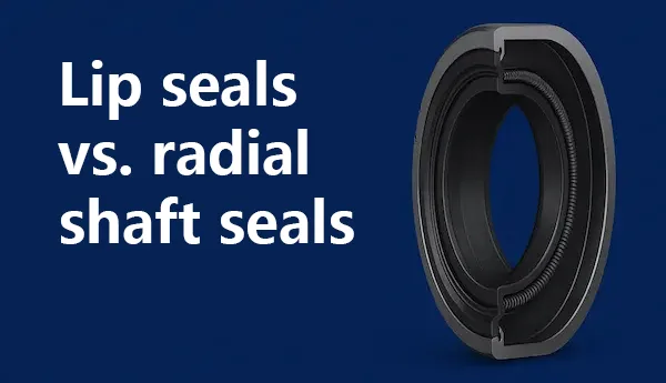 Lip seals vs. radial shaft seals