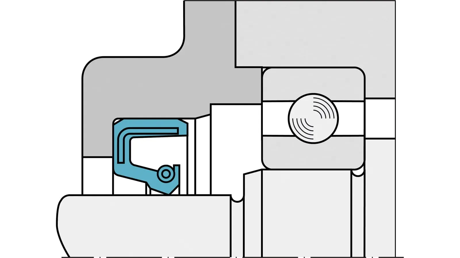 Radial Shaft Seal