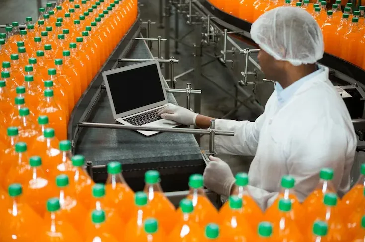 FKM vs Silicone for Food Processing