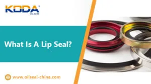 What Is A Lip Seal?