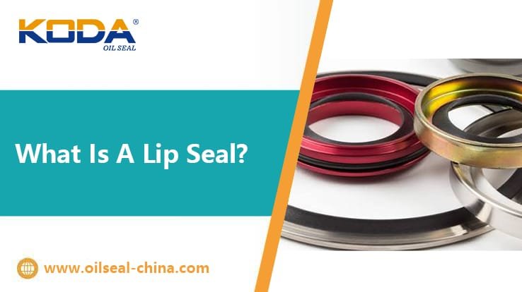 What Is A Lip Seal