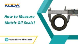 How to Measure Metric Oil Seals?