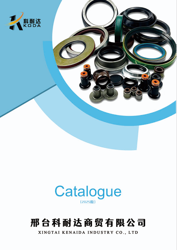 VAY Oil Seals