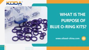 What is the purpose of Blue O-ring Kits